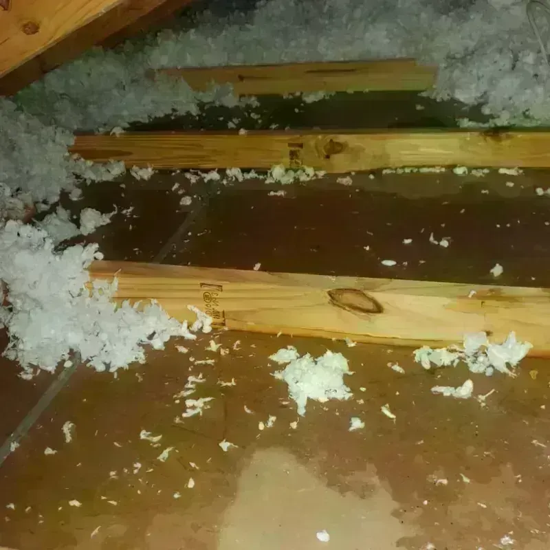 Attic Water Damage in Macedon, NY